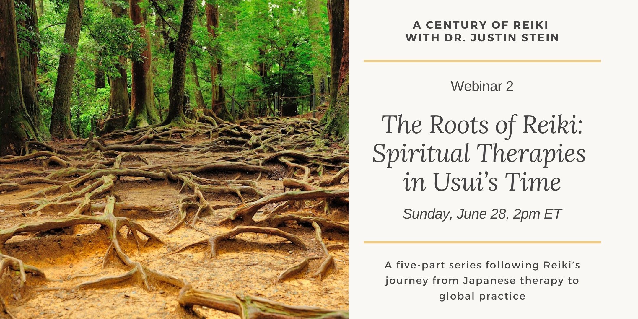 Image for webinar 2 in the series A Century of Reiki with Dr. Justin Stein